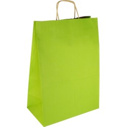 PS307G081 med snoet papirhåndtag lyse-grøn 305x170x425 mm