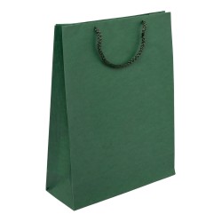 PR303R077 med et strenghåndtag, afstivet bund og øvre folder grøn 240x90x320 mm
