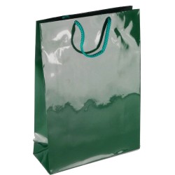 PL102G077 med et strenghåndtag, afstivet bund og øvre folder grøn 170x70x250 mm