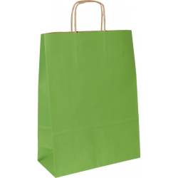 PS303G081 med snoet papirhåndtag lyse-grøn 240x100x320 mm