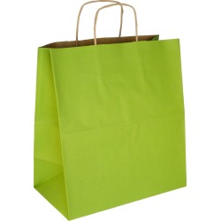 PS306G081 med snoet papirhåndtag lyse-grøn 305x170x340 mm