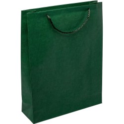 PR304R077 med et strenghåndtag, afstivet bund og øvre folder grøn 300x90x400 mm
